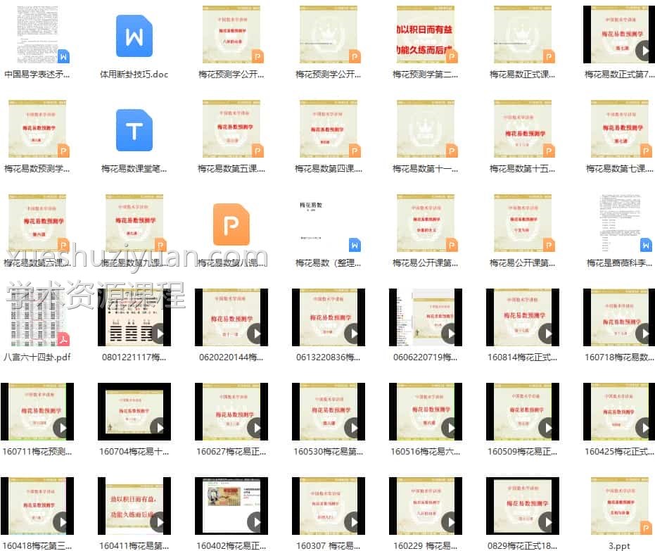 张瑞鹏梅花易数视频课程+讲义插图
