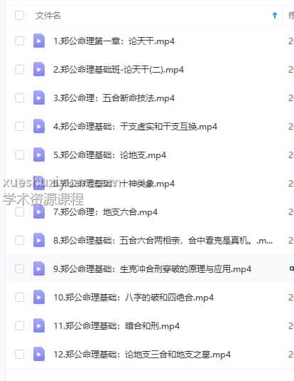 郑民生2018网络培训 郑民生 八字 理法象法 技法 视频+讲义插图