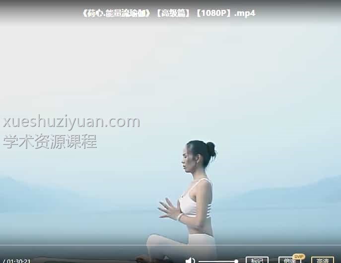 流瑜伽高级课程视频教学初级+高级插图