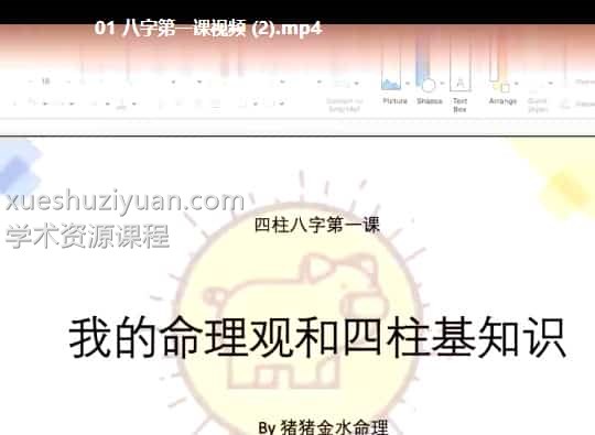 猪猪金水冬季八字海外班10集视频插图