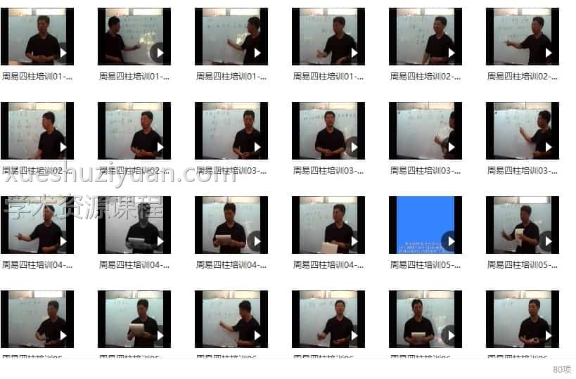 刘文元 四柱八字学2008年高级面授视频 80集插图