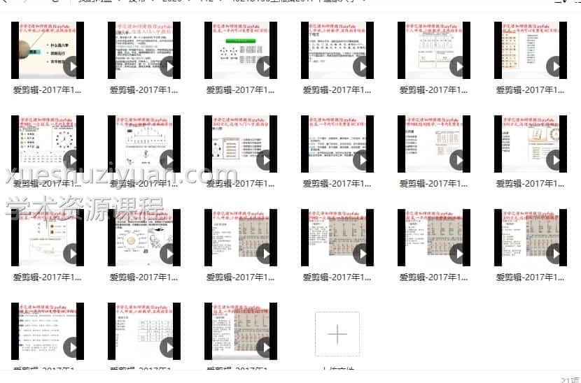 王淞策2017年道家八字21集视频插图