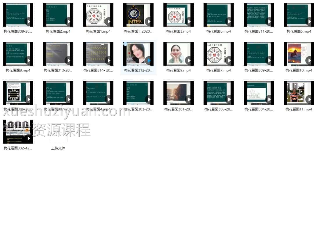 黄石易2020年梅花看图视频25集 百度云插图 黄石易2020年梅花看图视频25集 百度云插图