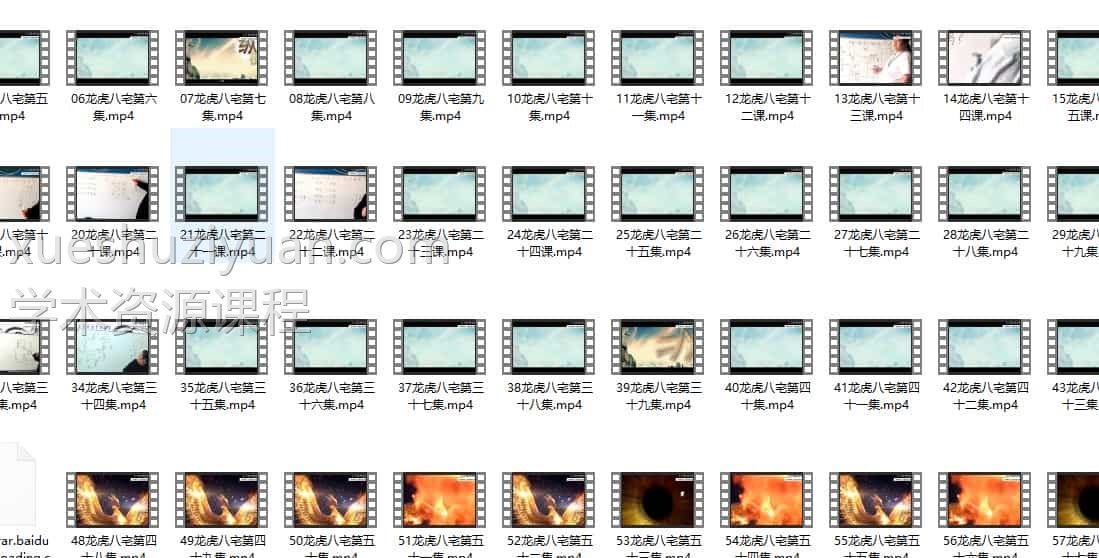 敏真 仲文 鲁东龙虎八宅录像58集全部阿里云盘百度盘下载插图1