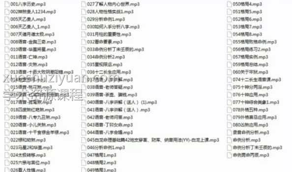 白龙老师八字命理基础课程+提高班课程合集插图1