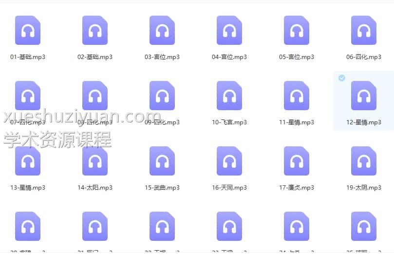 云中清河洛派紫微斗数内部录音41讲 百度云盘下载插图