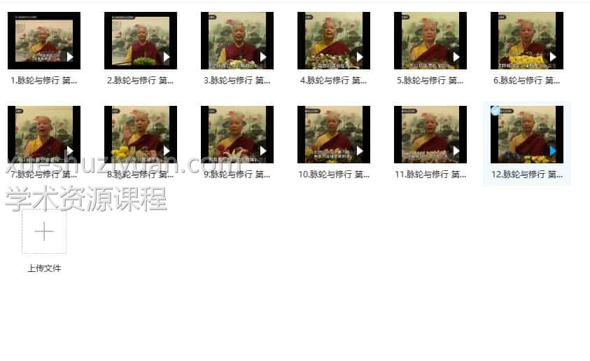 脉轮与修行12视频教程会员免费下载百度盘插图