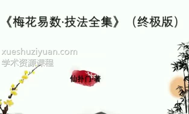 仙扑门-梅花 直播视频-仙扑门-梅花易术（终极版） 直播视频11集插图