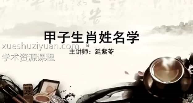 COA生肖姓名学初阶+进阶11视频下载插图