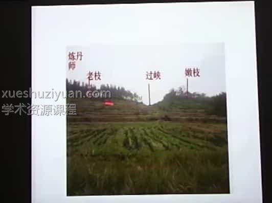 陈霁冰 寻龙点穴课程视频29集完整版插图