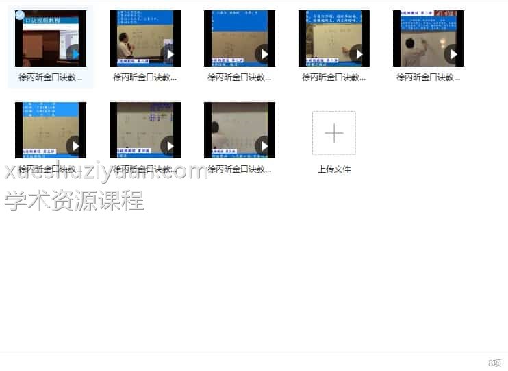 徐丙昕金口诀面授录像8视频百度盘下载插图