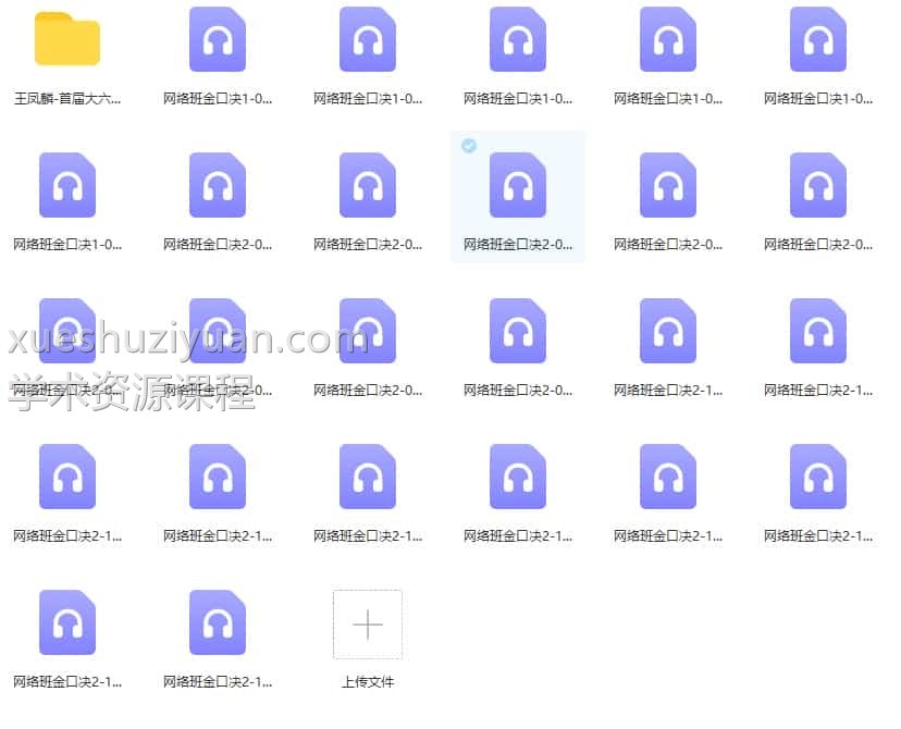 王凤麟-初级网校-网络班金口决19录音+对应讲义32pdf插图