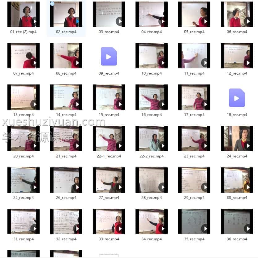 杨清娟盲派命理宜宾视频录像视频38集插图