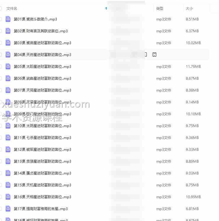 猪猪金水 紫微斗数财富专题课 音频 21节插图 猪猪金水 紫微斗数财富专题课 音频 21节插图