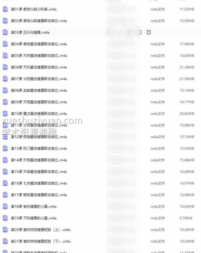 猪猪金水紫微斗数健康专题音频22集百度盘下载插图