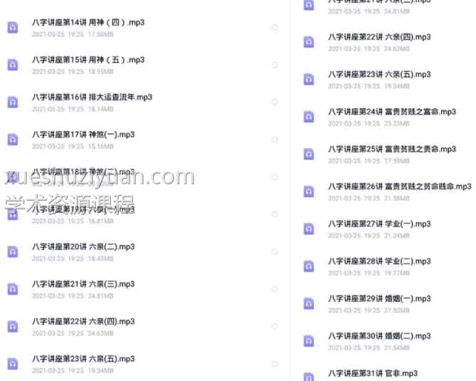 零基础学八字31个录音文档插图
