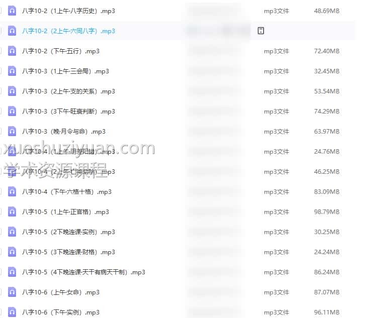 徐伟刚-2009年八字16录音文件+讲义文档插图