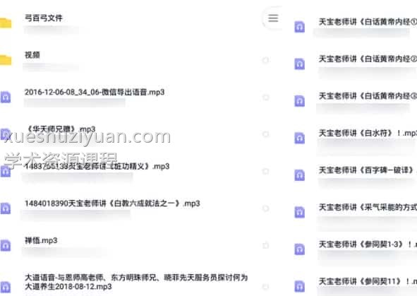 天宝老师讲课录音合集 音频450多文件丹道功法修行插图