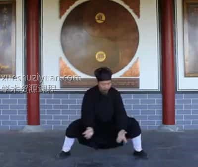 钟云龙道长亲传 钟元龙道长八段锦/混元桩功/太极13式 太极刀/养生功插图