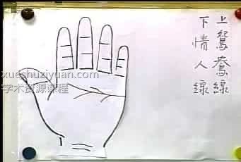 林盛翰-手相教学视频11集+资料插图 林盛翰-手相教学视频11集+资料插图