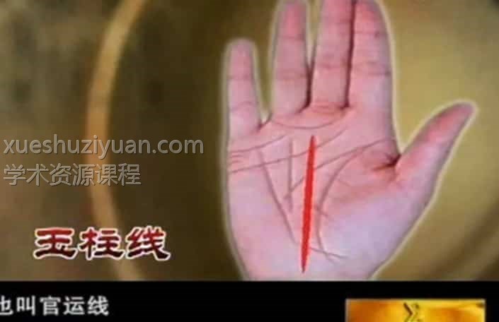 王晨霞-掌纹的秘密教程视频14集插图 王晨霞-掌纹的秘密教程视频14集插图