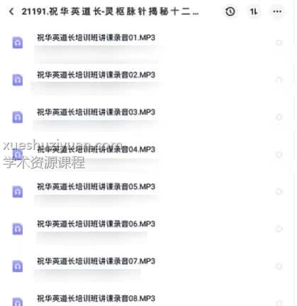 祝华英道长-灵枢脉针揭秘十二经脉的秘密31录音文件合集插图