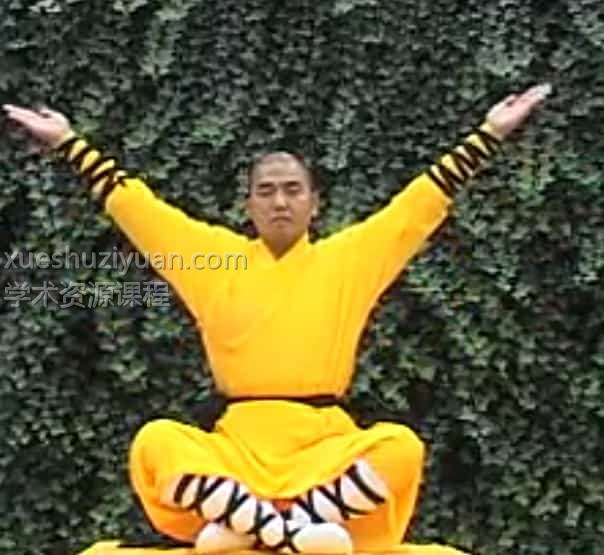 释延王 易经洗髓功 易筋经/洗髓经/八段锦/洗髓功 消脂功/少林养心功/固肾功插图