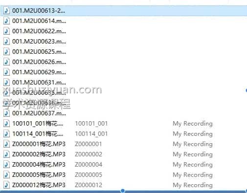 铁书生2013年8月梅花录音18个插图