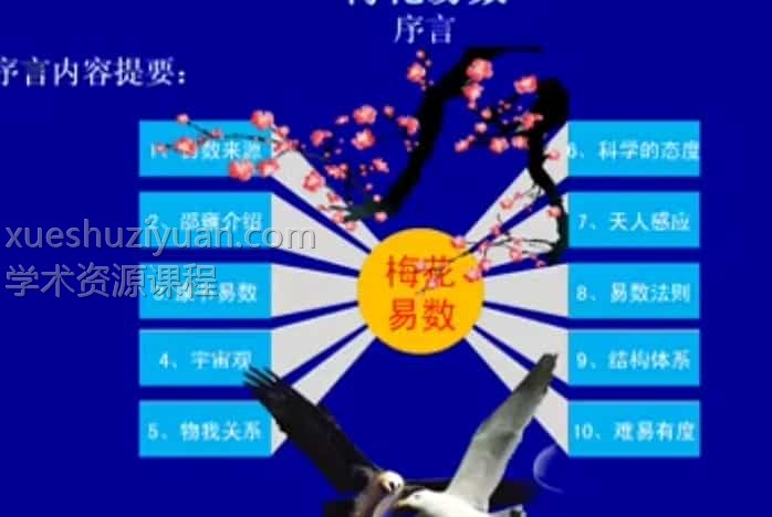 陈有道 梅花易数视频教学培训课程全21集插图
