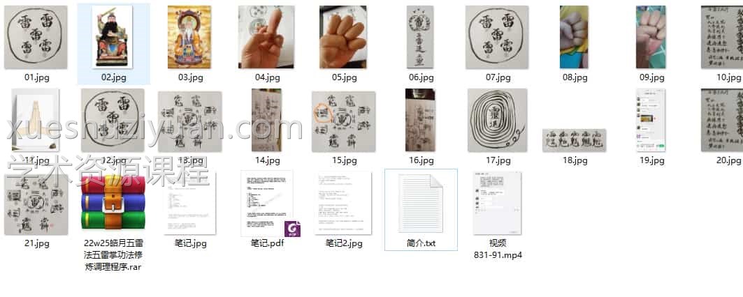 皓月五雷法五雷掌功法修炼调理程序百度盘下载插图