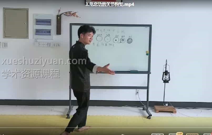 龟息功【养打同练】5集课程视频插图