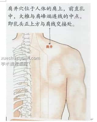 凤麟宗道医技法特训营插图