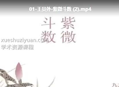 九龙道长推荐王员外紫微斗数课程 30集插图