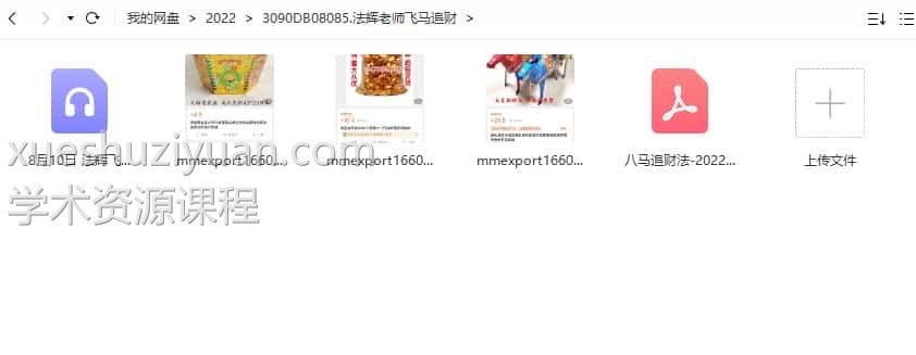 法辉老师飞马追财录音+文字非常猛的催财插图