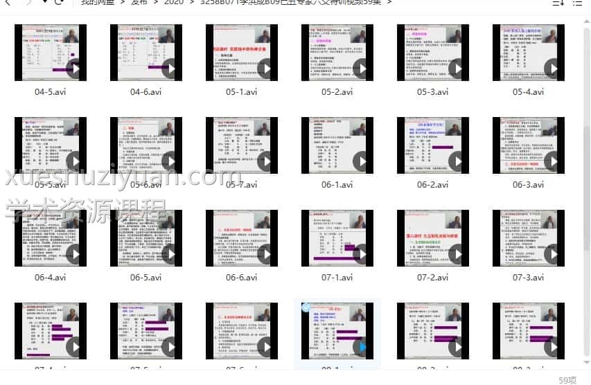 李洪成2009己丑专家六爻特训视频59集插图