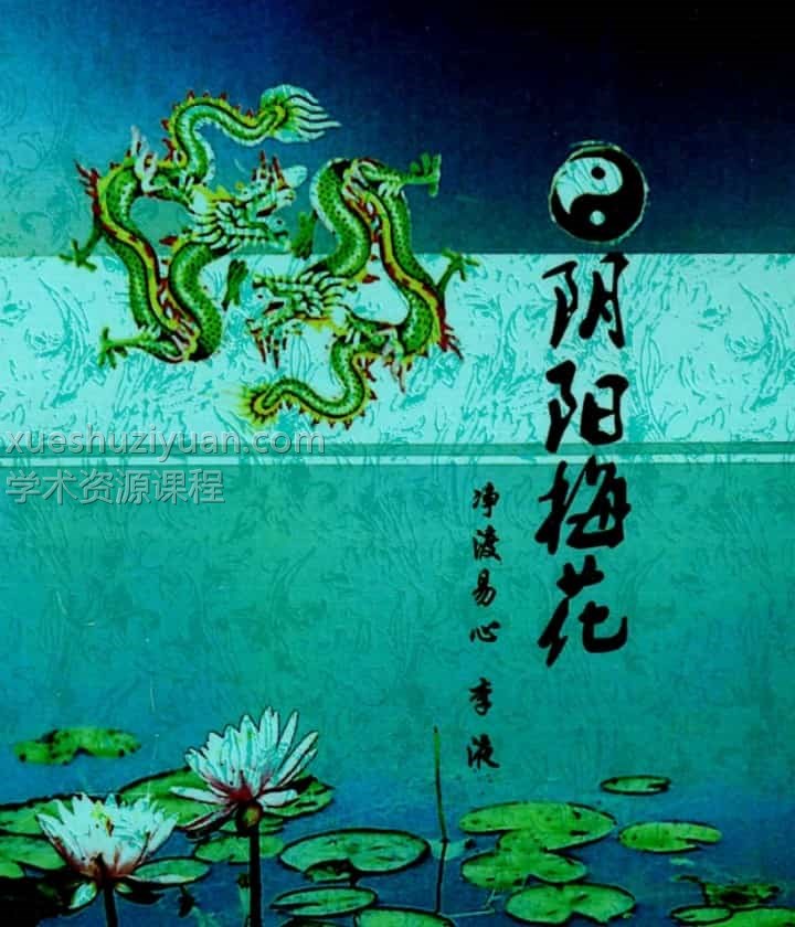 净度易心-《真正梅花》3本上中下+《阴阳梅花》pdf电子书插图