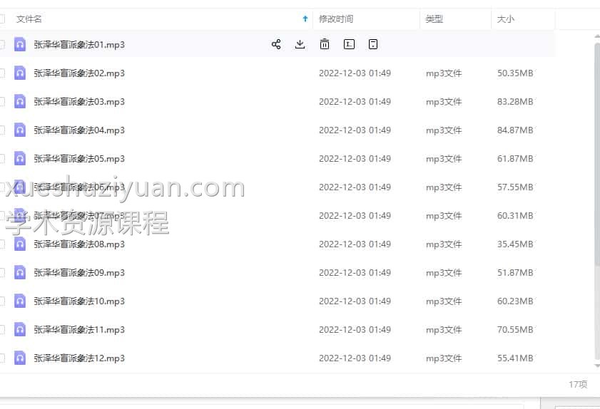 张泽华盲派命理  盲派象法17集录音合集插图