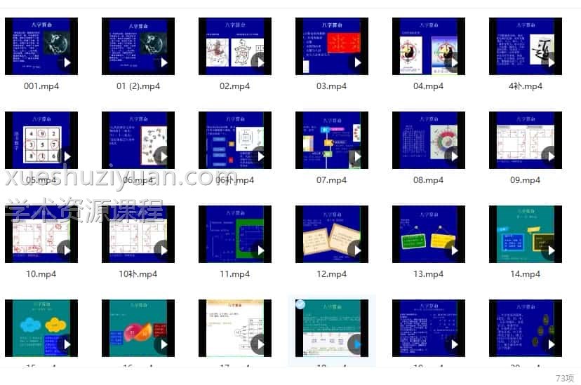 陈有道八字73集视频课程插图1