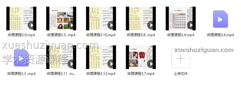 刘云峰 新派八字视频10集插图