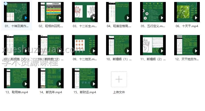 《四柱预测系统课》15集插图2