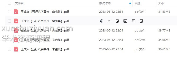 王成义 五行八字真传集五本一套高清电子版书籍插图1