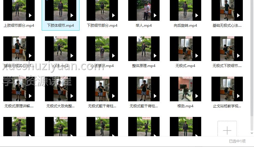 止戈站桩教学（23视频）插图