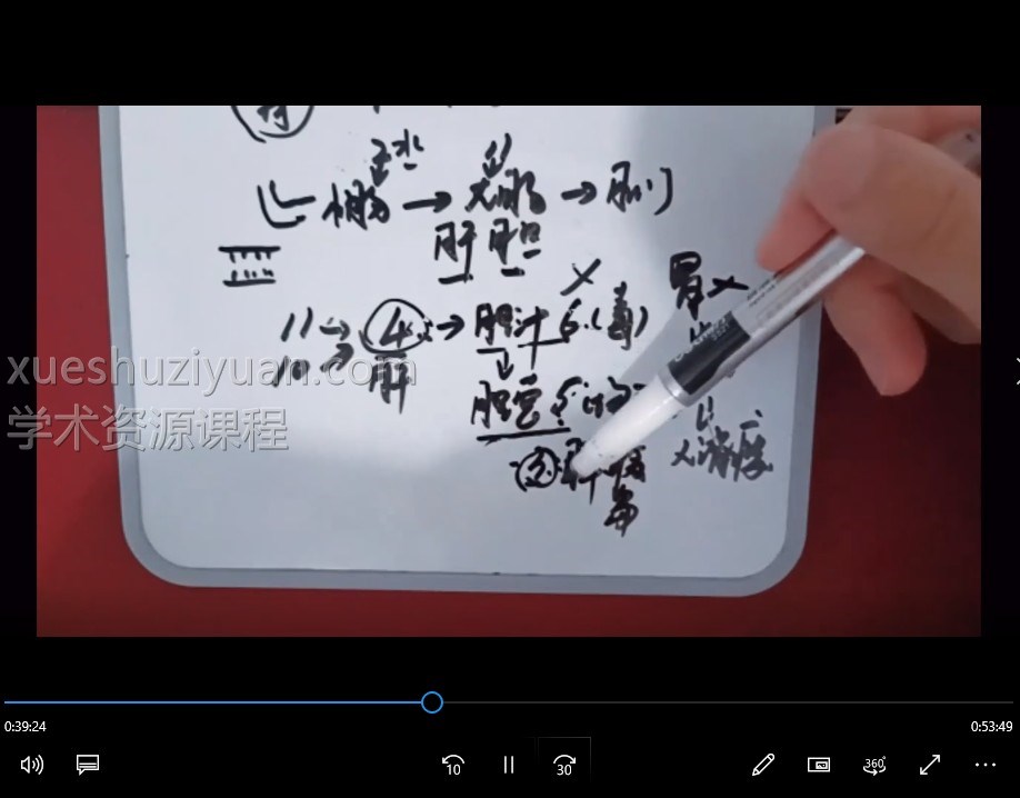 数字易经-五角定律980元专栏课插图