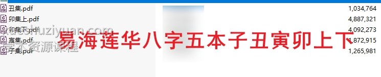 易海莲华八字五本插图 易海莲华八字五本插图