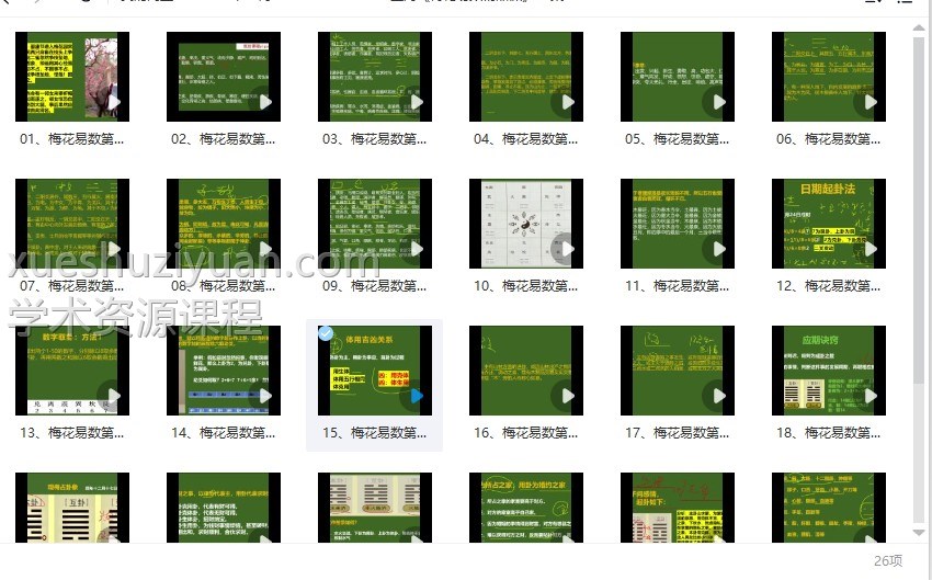 鑫河《梅花易数精品课》26集视频课程插图