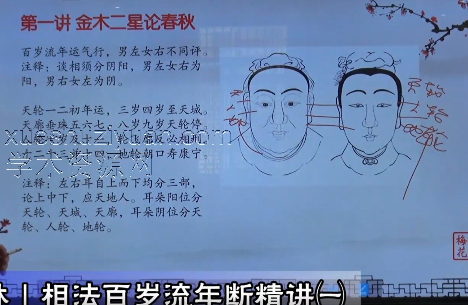 相法百岁流年断精讲4集视频  陈春林插图