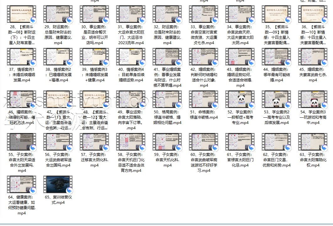 罗镇《紫微斗数训练营》65集插图
