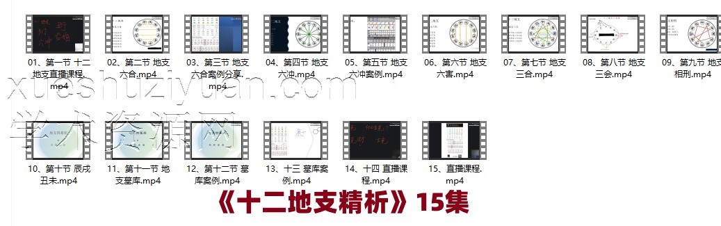 《十二地支精析》15集 清风新派八字插图