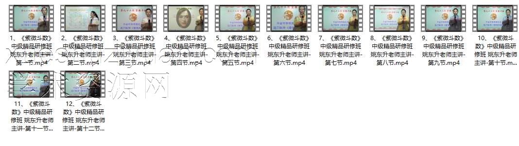 92期-姚东升老师主讲《紫微斗数》 中级-12集插图