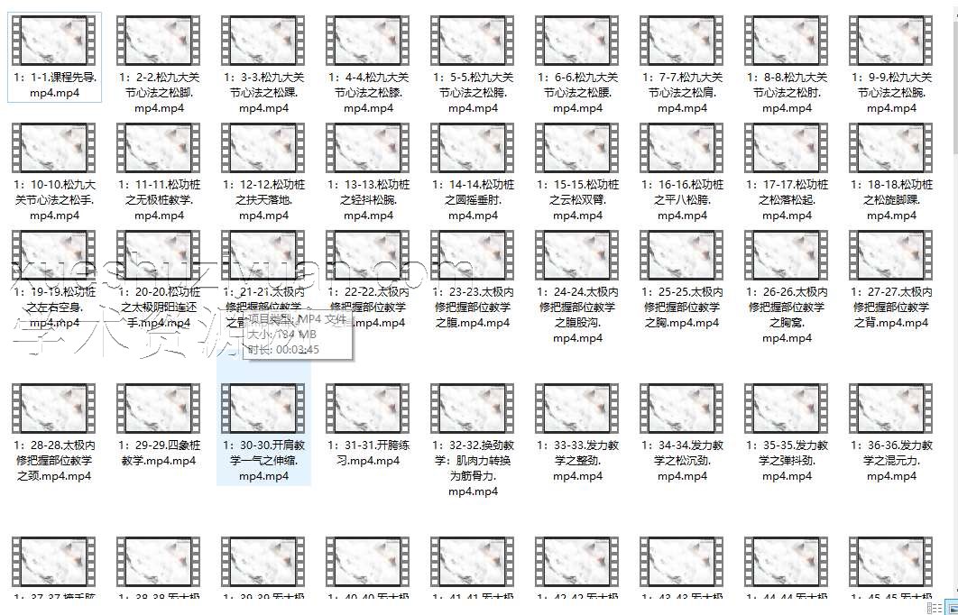 【炁太极炼气化神入室弟子课】(167节)插图 【炁太极炼气化神入室弟子课】(167节)插图